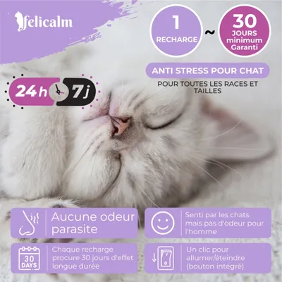 Felicalm – 1 diffuseur + 2 recharges phéromones pour Chat