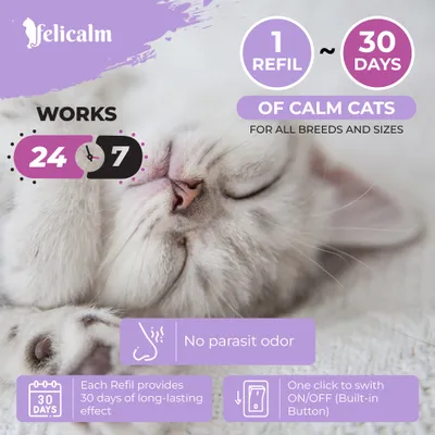 Felicalm Pack Chat – 3 diffuseurs + 6 recharges phéromones apaisantes