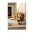 Peluche ours pour chien