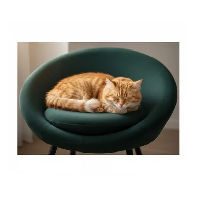 Fauteuil pour chien ou chat Sofa vert Fauteuil pour chien ou chat Sofa vert