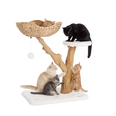 Arbre a griffer design avec panier