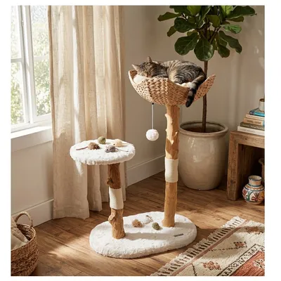 Arbre a chat design avec corde et panier Arbre a chat design avec corde et panier