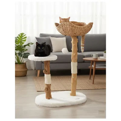 Arbre a chat design avec corde et panier Arbre a chat design avec corde et panier