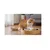 Jeu a gratter pour chat en carton rond et balles sonores 33 cm