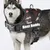 Harnais réglable pour chien Pluto