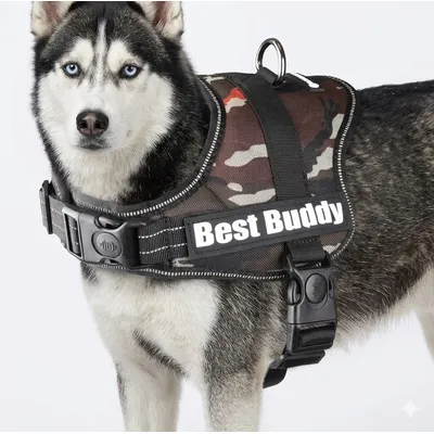 Harnais réglable pour chien Pluto