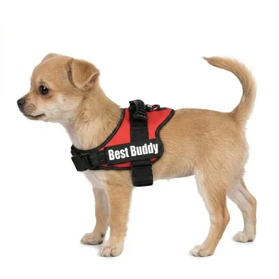 Harnais réglable pour chien Pluto