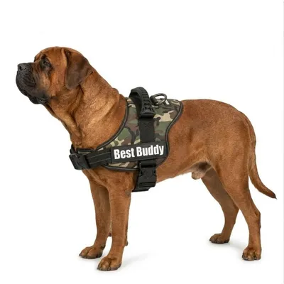 Harnais réglable pour chien Pluto