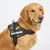 Harnais réglable pour chien Pluto