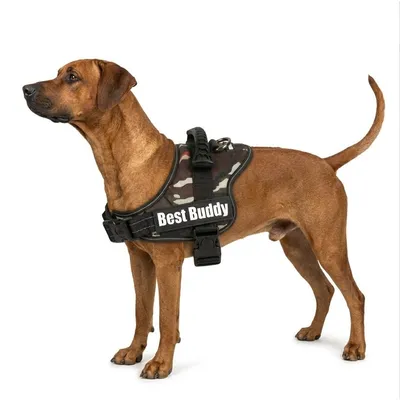 Harnais réglable pour chien Pluto