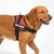 Harnais réglable pour chien Pluto