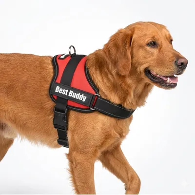 Harnais réglable pour chien Pluto