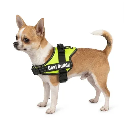 Harnais réglable pour chien Pluto