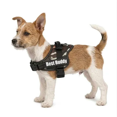 Harnais réglable pour chien Pluto