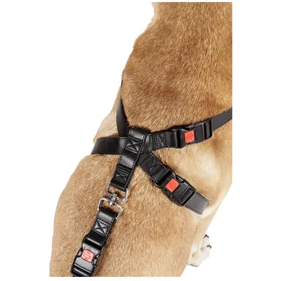 Harnais de sécurité pour voiture Duma