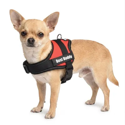 Harnais réglable pour chien Pluto