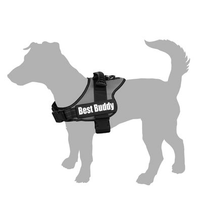 Harnais réglable pour chien Pluto