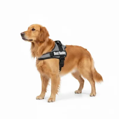 Harnais réglable pour chien Pluto