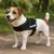 Harnais réglable pour chien Pluto