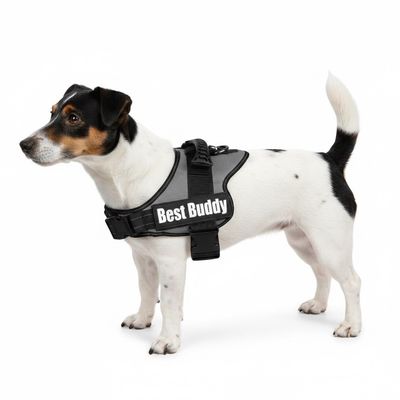 Harnais réglable pour chien Pluto