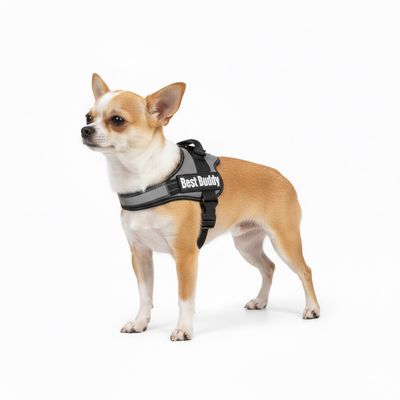 Harnais réglable pour chien Pluto