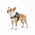 Harnais réglable pour chien Pluto