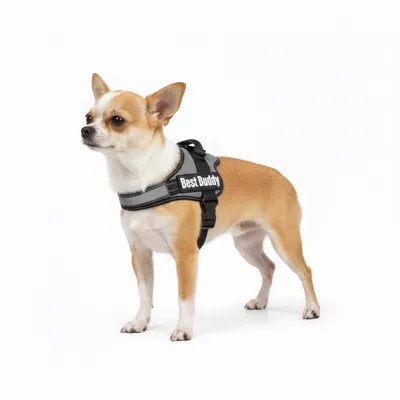 Harnais réglable pour chien Pluto