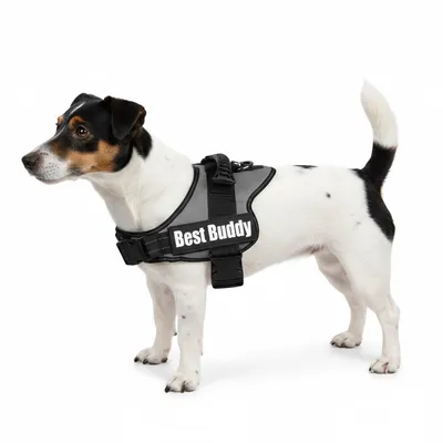 Harnais réglable pour chien Pluto