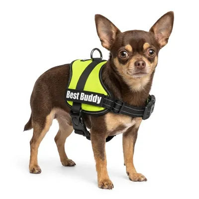 Harnais réglable pour chien Pluto