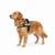 Harnais réglable pour chien Pluto