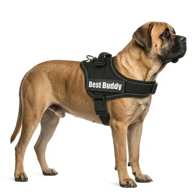 Harnais réglable pour chien Pluto