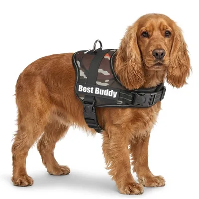 Harnais réglable pour chien Pluto