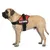 Harnais réglable pour chien Pluto