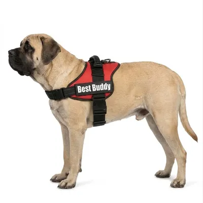 Harnais réglable pour chien Pluto