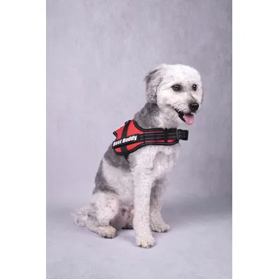 Harnais réglable pour chien Pluto