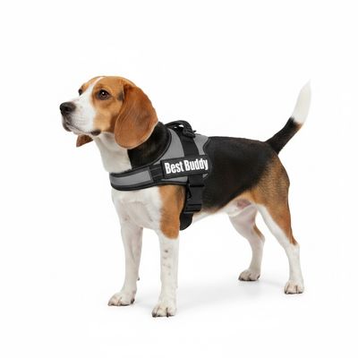 Harnais réglable pour chien Pluto