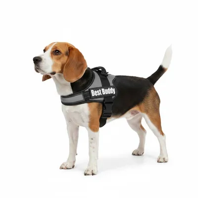 Harnais réglable pour chien Pluto