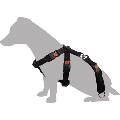 Harnais de sécurité pour voiture Duma