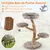 Giantex Arbre a Chat Design Naturel en Bois Poirier Massif, avec Tronc Giantex Arbre a Chat Design Naturel en Bois Poirier Massif, avec Tronc