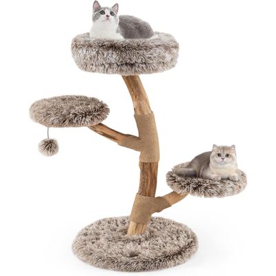Giantex Arbre a Chat Design Naturel en Bois Poirier Massif, avec Tronc