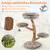 Giantex Kratzbaum Im Naturdesign Aus Massivem Birnenholz, Mit Stamm Giantex Kratzbaum Im Naturdesign Aus Massivem Birnenholz, Mit Stamm