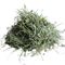 Kalibunny Foin premium de Crau pour lapins et rongeurs Crau 5 KG