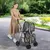 GIANTEX Poussette 2 Étages pour Chien Chat Détachable et Pliable GIANTEX Poussette 2 Étages pour Chien Chat Détachable et Pliable