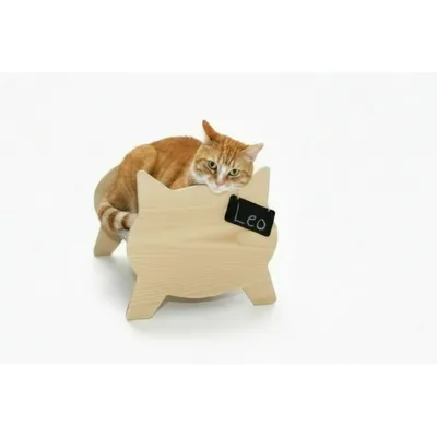 Halcyon Home lit Catnap Halcyon Home lit Catnap