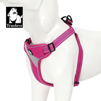 Harnais chien Truelove Training Harnais chien promenade