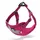 Training Rose S: 36 - 53 cm