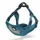 Training Bleu S: 36 - 53 cm