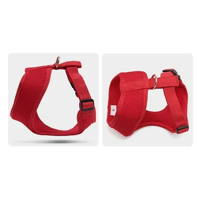 Truelove Saloon Harnais chien promenade Truelove Saloon Harnais chien promenade