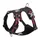 Colorado Plus Noir XS: 33 - 43 cm