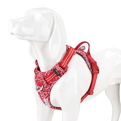 Harnais chien dressage anti traction & promenade TRUELOVE Country Plus + Sp